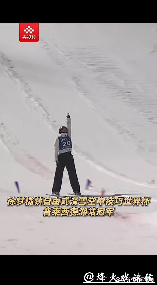 自由式滑雪空中技巧世界杯普莱西德湖站 王心迪夺冠 徐梦桃摘银